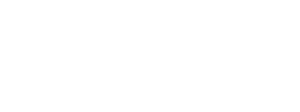 Paddle logotype